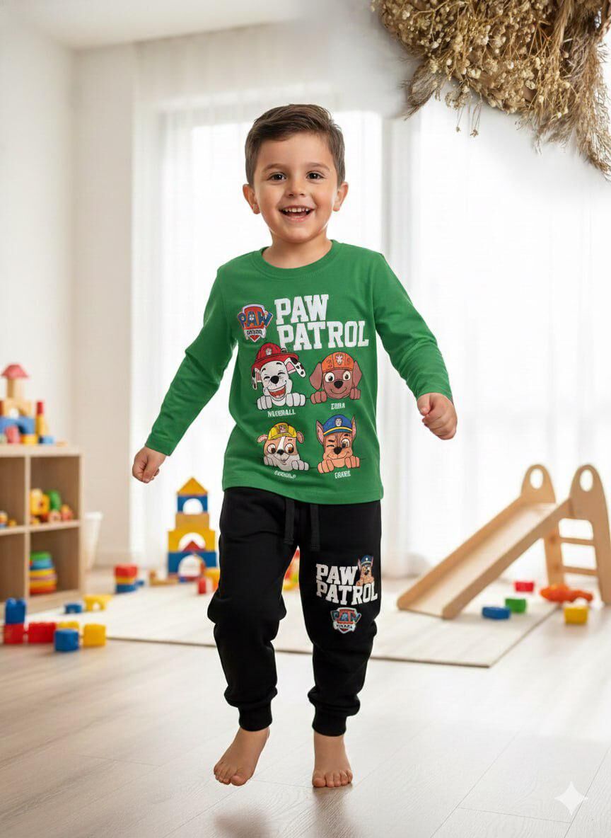 2 ip Paw Patrol Takım