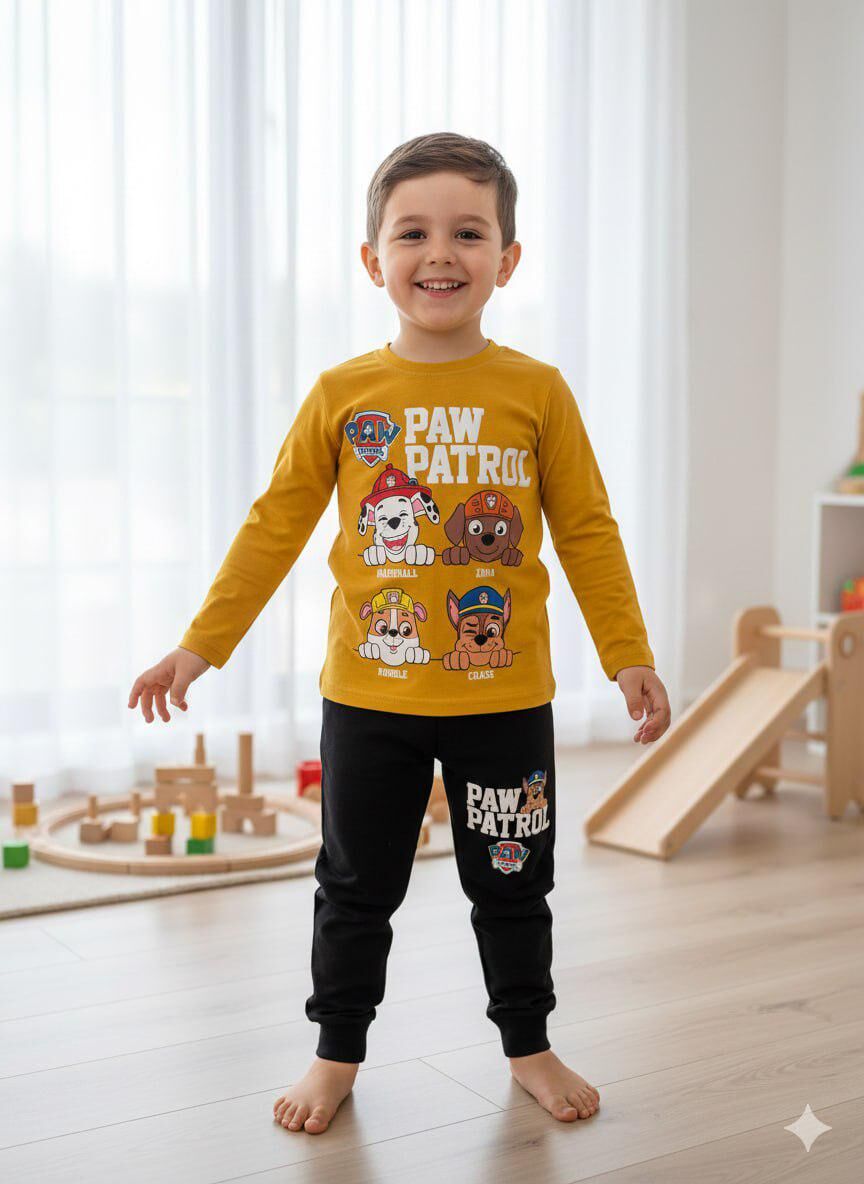 2 ip Paw Patrol Takım