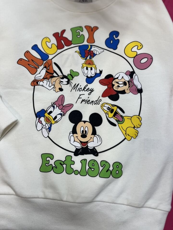 2 İplik Fırçalı Kumaş Minnie Takım