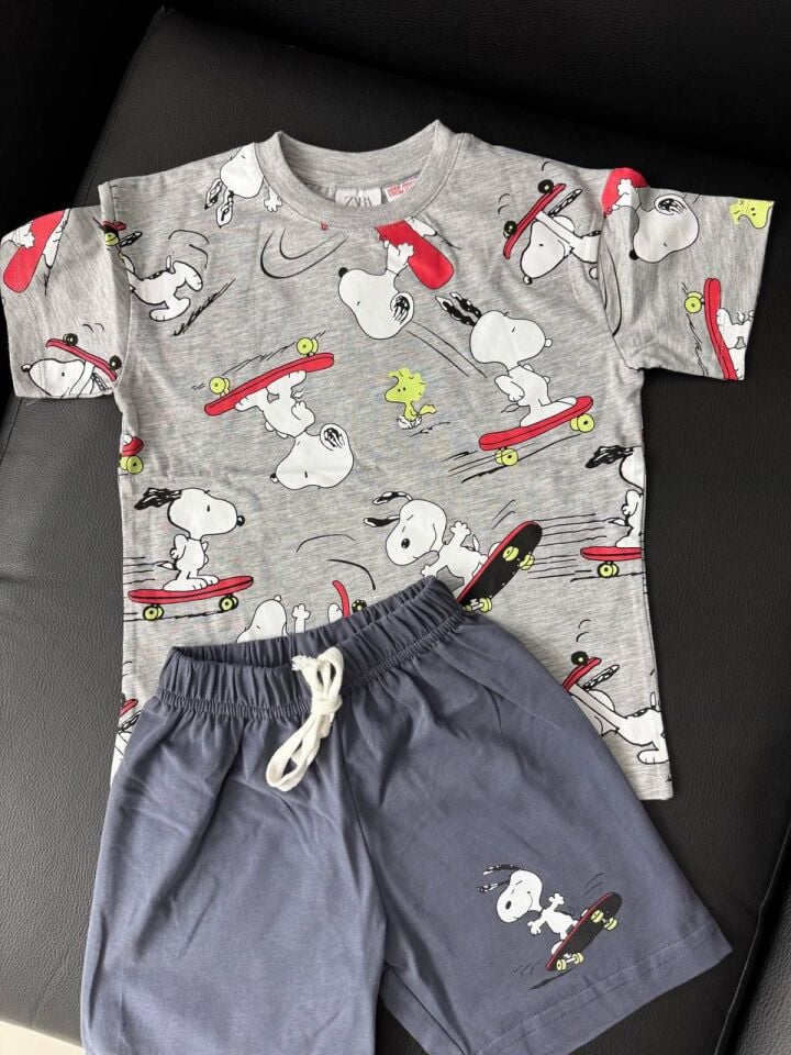 Snoopy takım