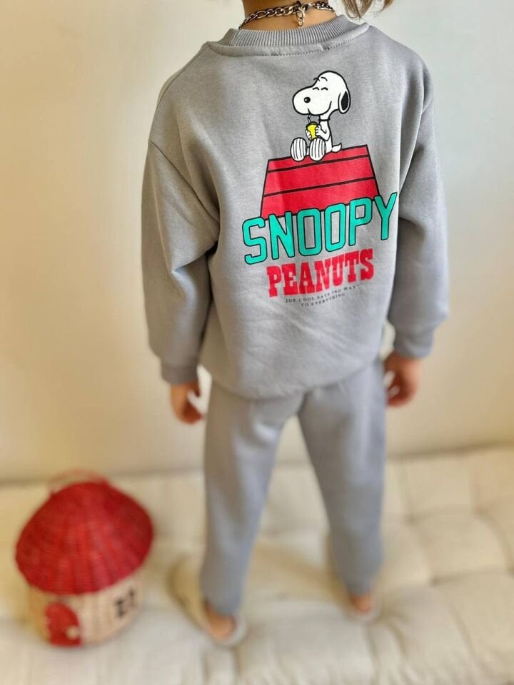 3 ip Şardonlu nyc gri takım