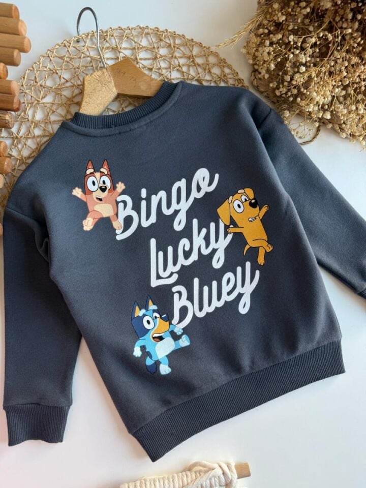 3 İplik Fırçalı Kumaş Bluey Takım
