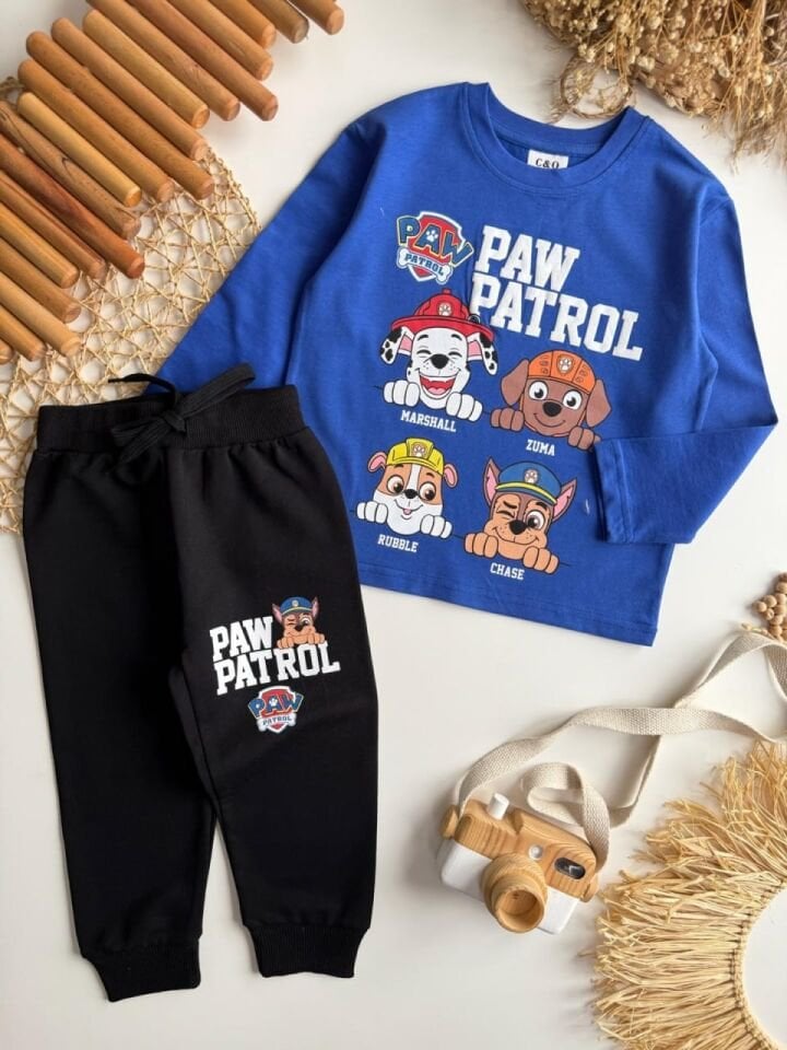 2 ip paw patrol mavi