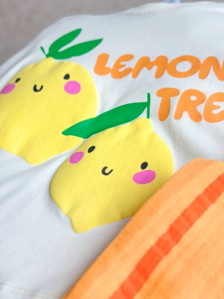 Limon Detaylı Takım