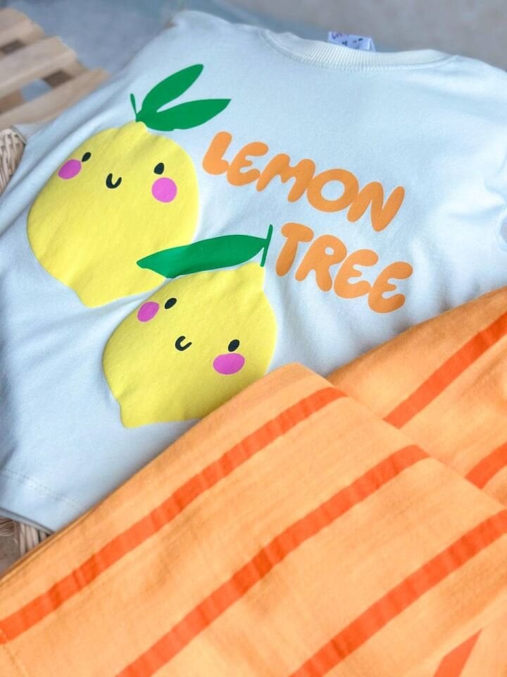 Limon Detaylı Takım